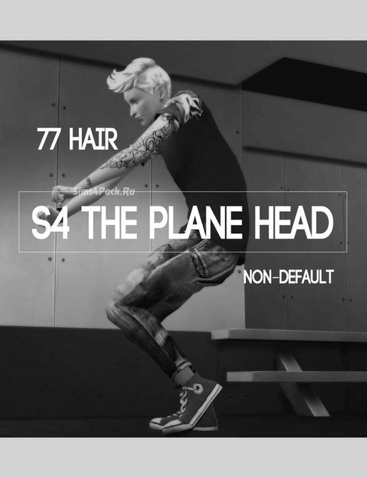 Мужская прическа "S4 The plane head"