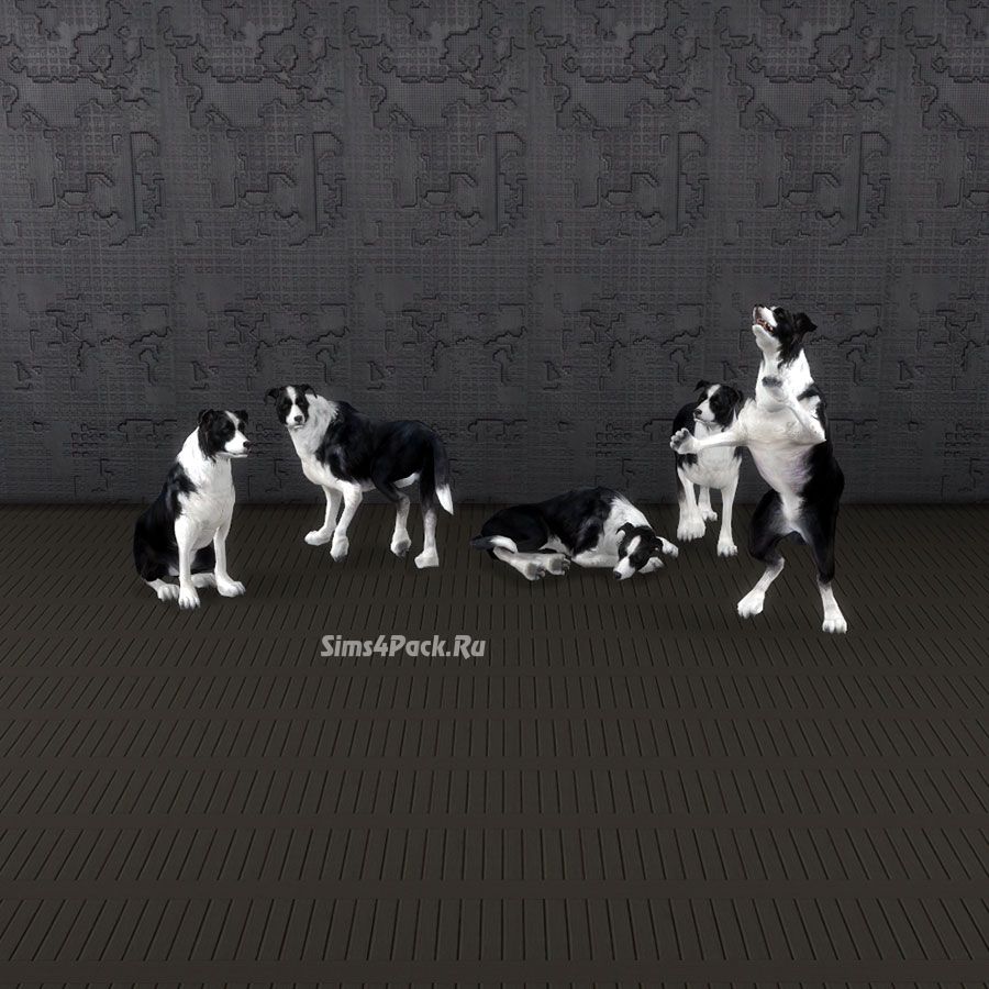 Набор декоративных собак "Dogs"