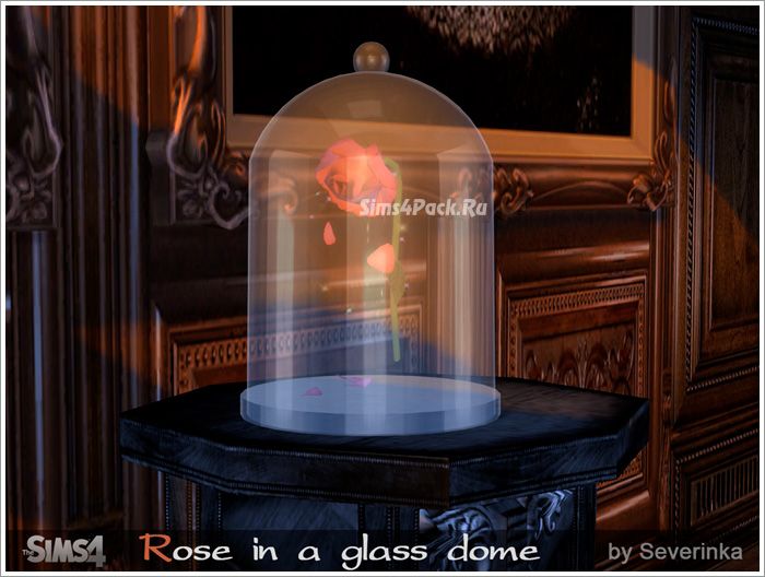 Роза в колбе "Rose in a glass dome"
