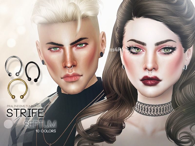 Циркуляр "Strife Septum"