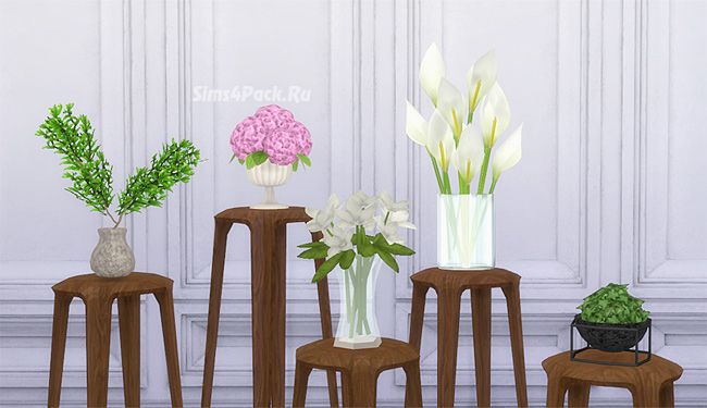 Комнатные растения и цветы "Plant conversions"