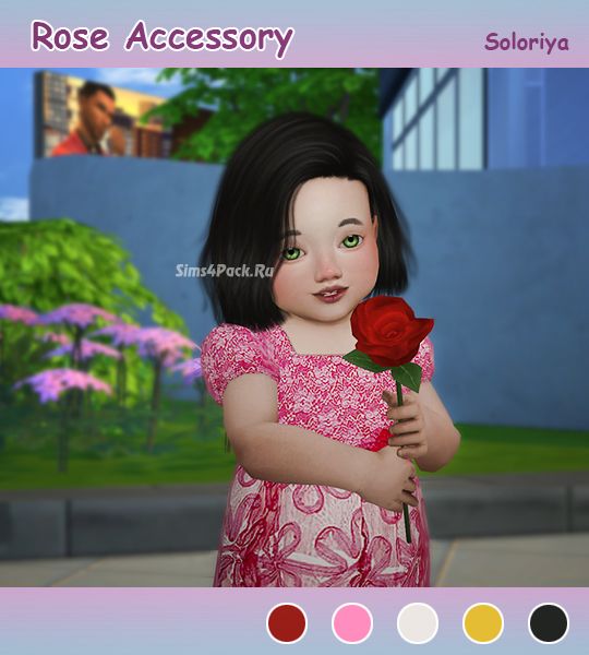 Роза "Rose Accessory"