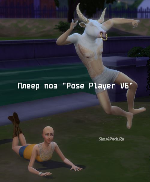 Плеер поз "Pose Player V6"