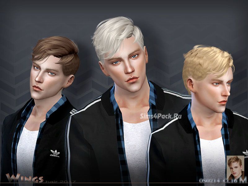 Прическа "WINGS HAIR OS0214"