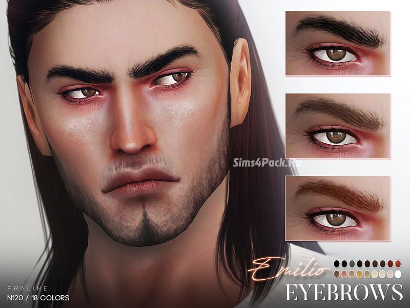 Брови "Emilio Eyebrows N120"