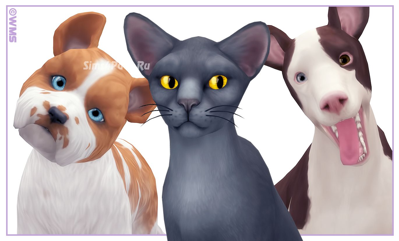 Глаза "LITTLE SAD EYES FOR CATS & DOGS"