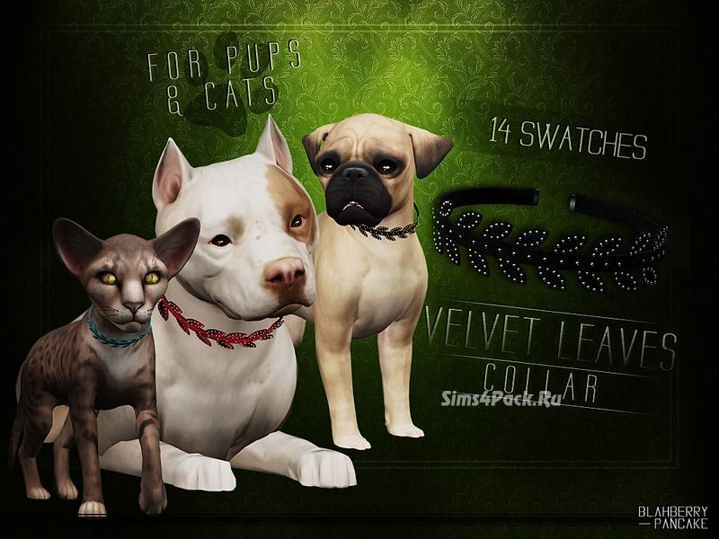 Ошейник "Velvet Leaves Collar for Cats and Dogs"