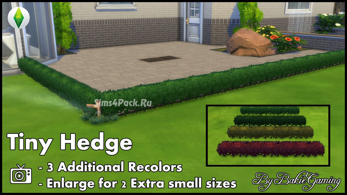 Кустарник "Tiny Hedge"