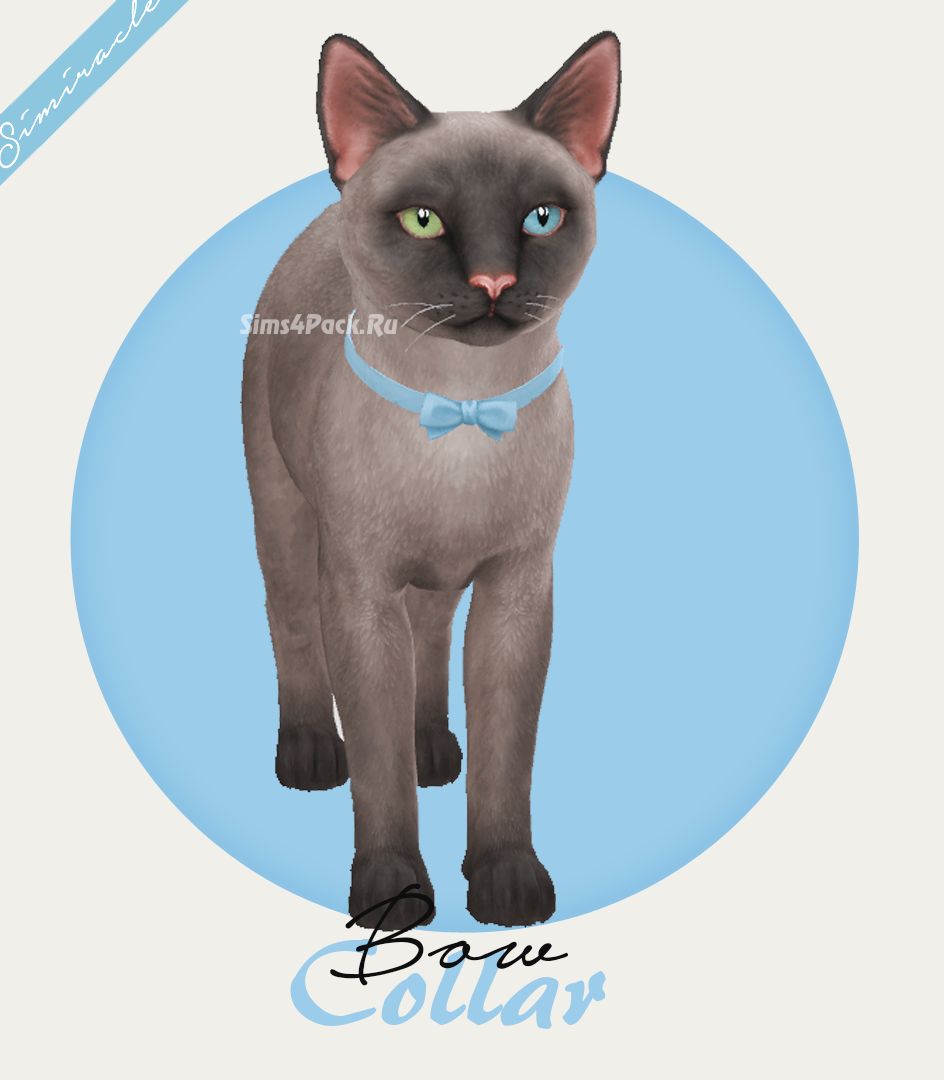 Ошейник "Bow Collar Cats"