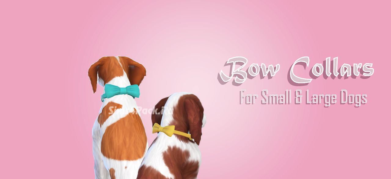 Ошейник "Bow Collars"