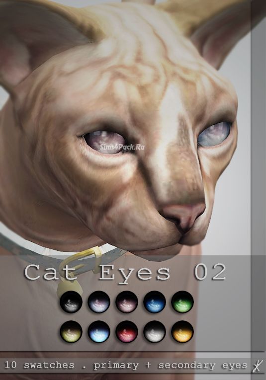 Линзы "cat eyes 02"
