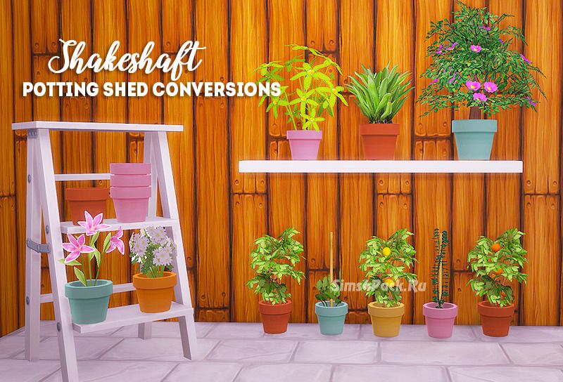 Набор комнатных растений "Shakeshaft potting shed conversions"