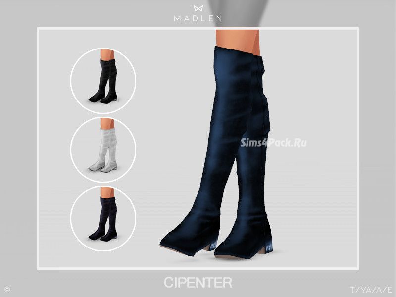 Сапоги "Cipenter Boots"
