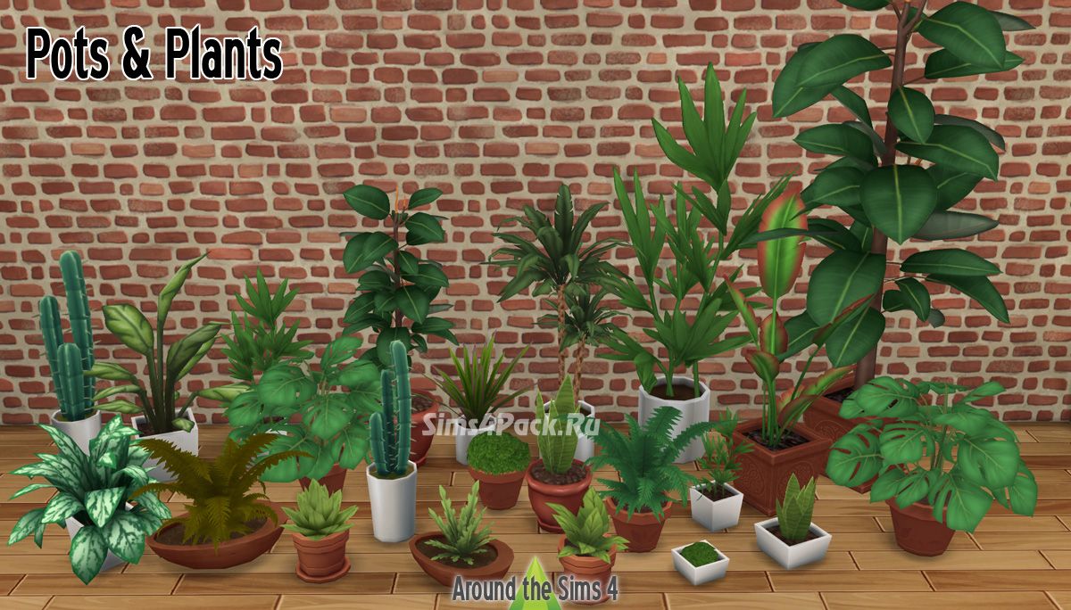 Растения и горшки "Pots & Plants"