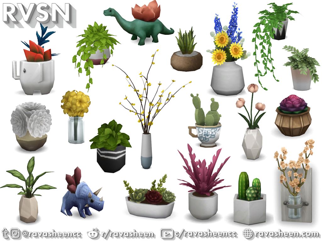 Комнатные растения "Rooting For You Plant Set"