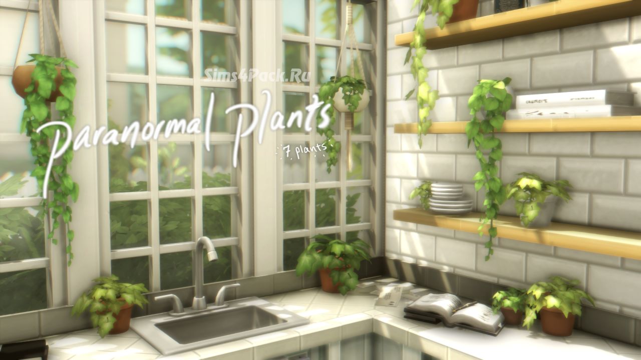 Набор комнатных растений "paironormal plants"