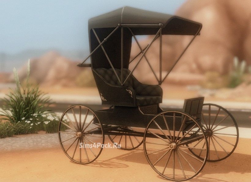 Карета "Doctors Buggy"