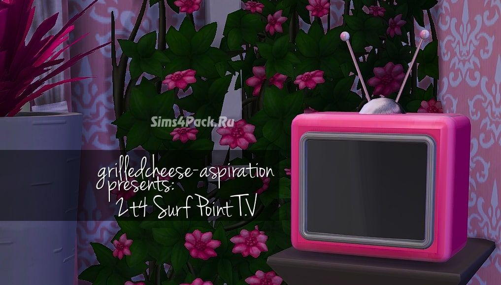 Телевизор "2t4 Surf Point T.V."