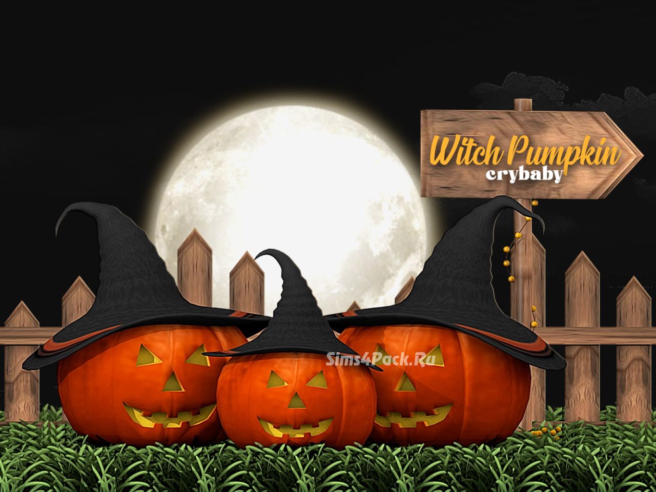 Тыквы "witch pumpkin"