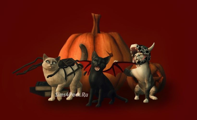 Костюмы на Хэллоуин "HALLOWEEN CATS"