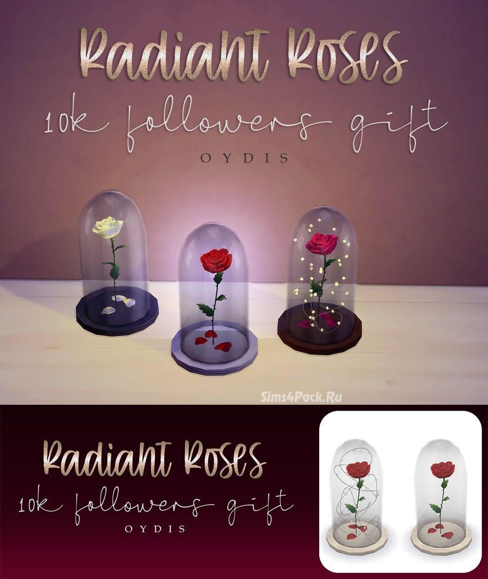 Заколдованные розы "Radiant Roses"