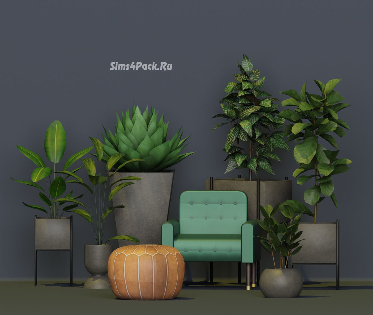 Мини-коллекция домашних растений "Plantita Set"