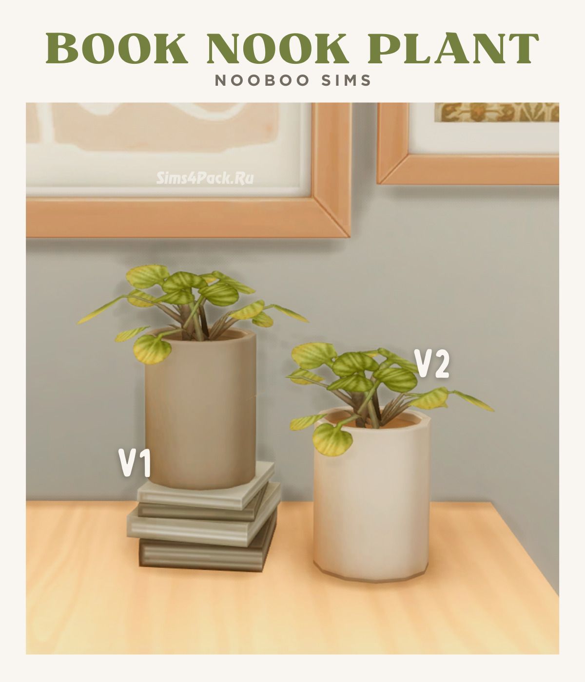 Домашние растения "book nook plants"