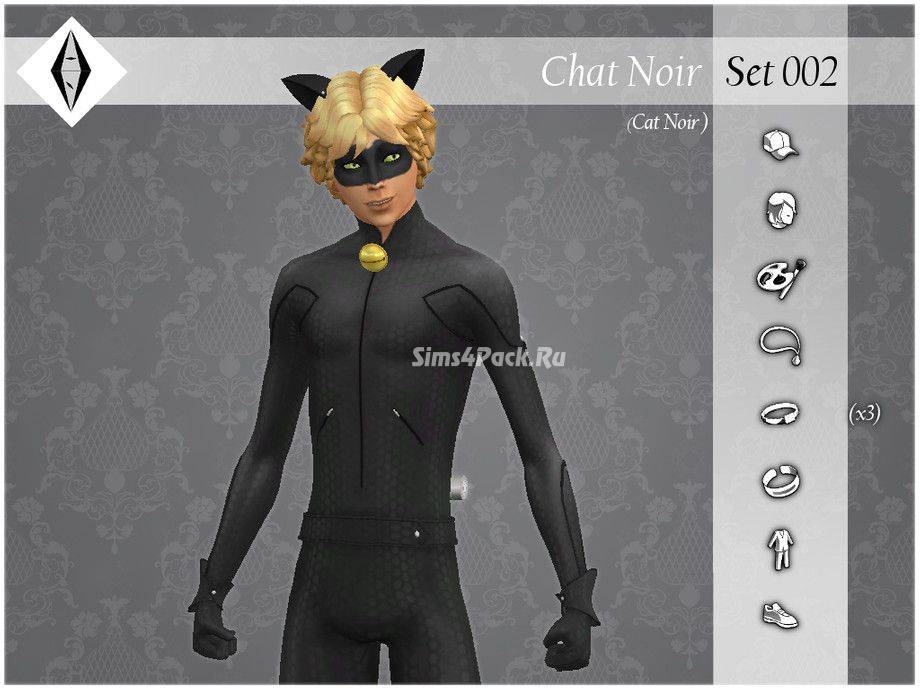 Сет для создания Супер-Кота "Chat Noir Set002"