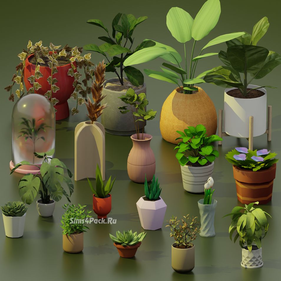 Большая коллекция комнатных растений "Green Thumb Set"