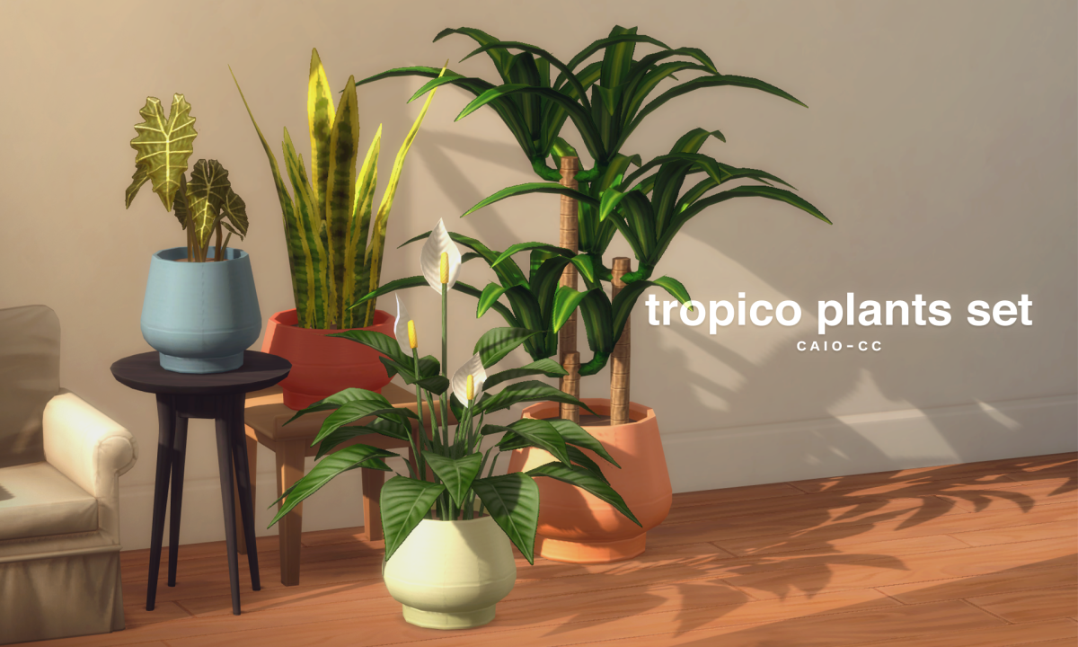 Домашние растения "Tropico Set"
