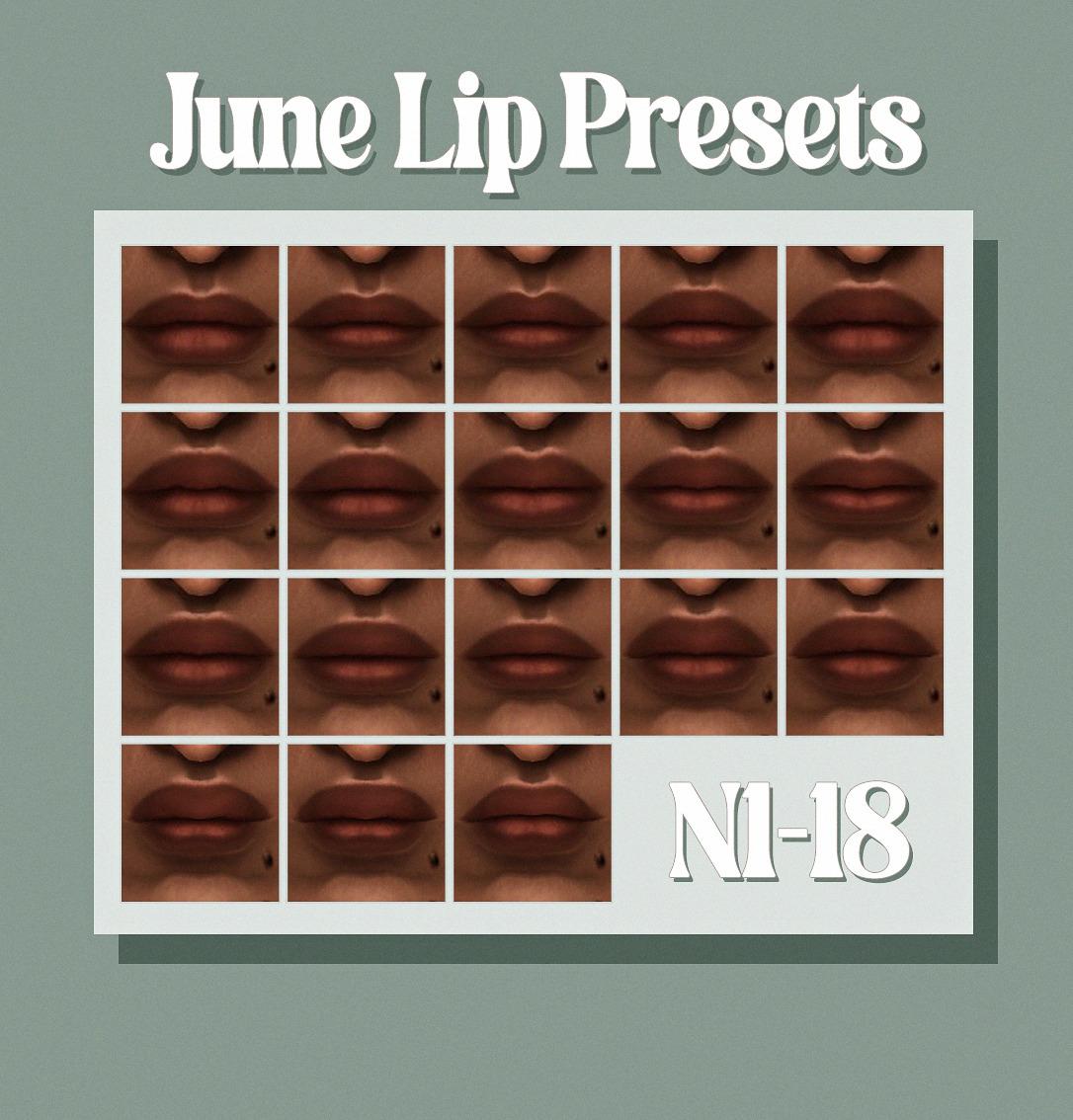Набор пресетов для губ "June Lip presets"