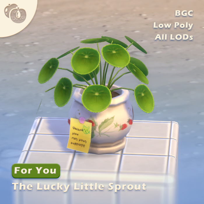 Пилея "For You - The Lucky Little Sprout"